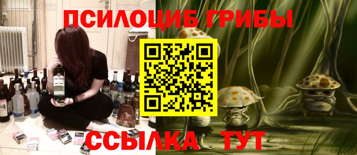 наркота  Вход с VPN  Нурлат  Галлюциногенные грибы Psilocybe 