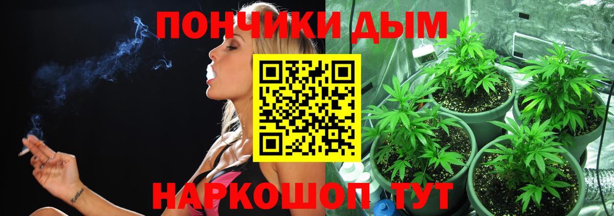 Шишки марихуана марихуана Нурлат